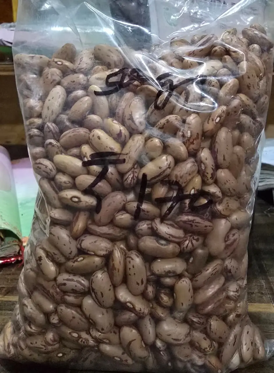 Rajma