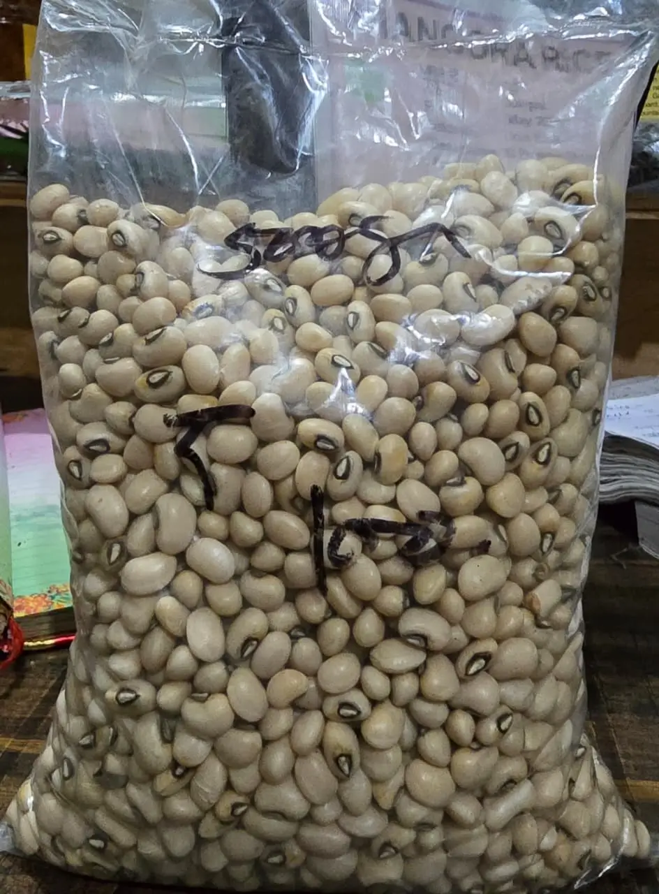 Soya